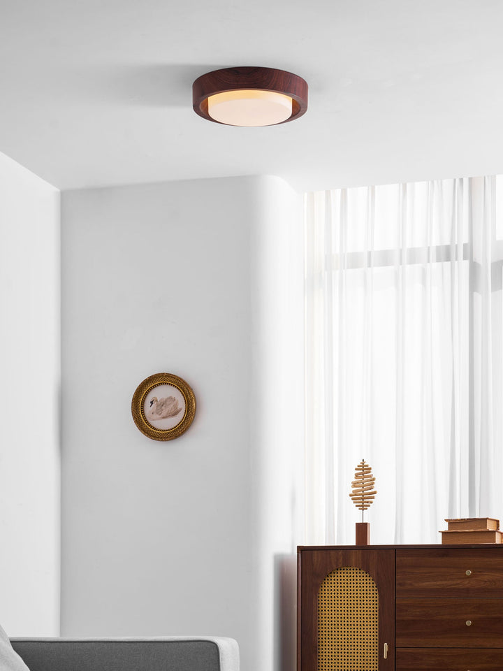 Lunar Ring Taklampa