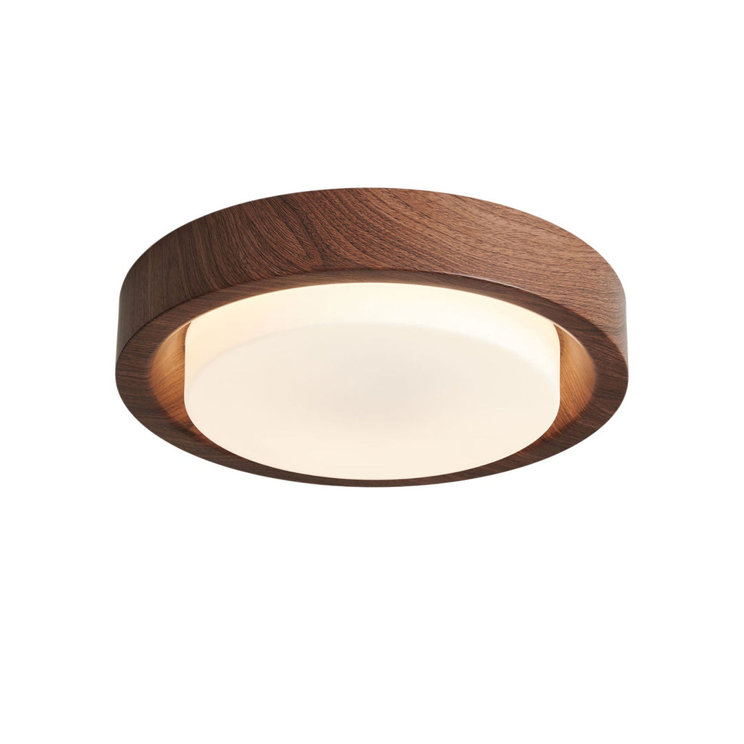 Lunar Ring Taklampa