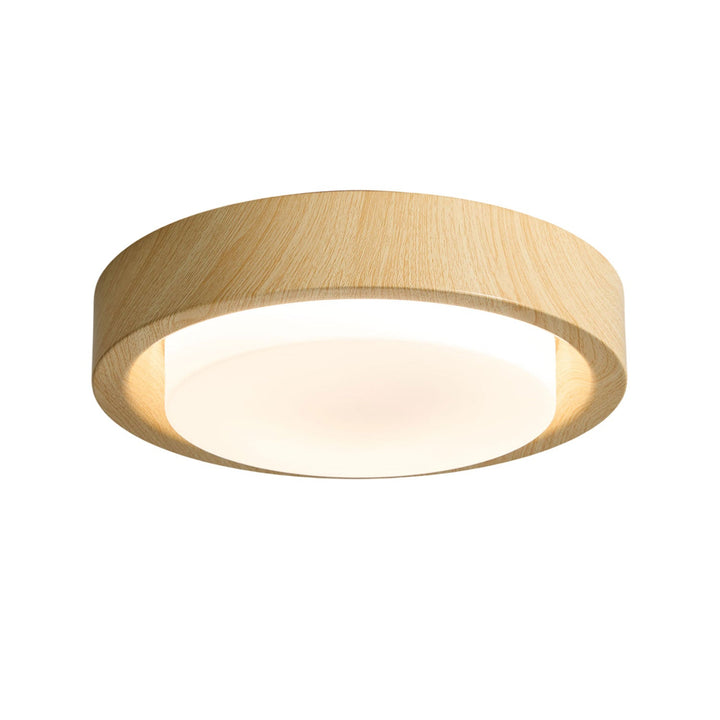 Lunar Ring Taklampa