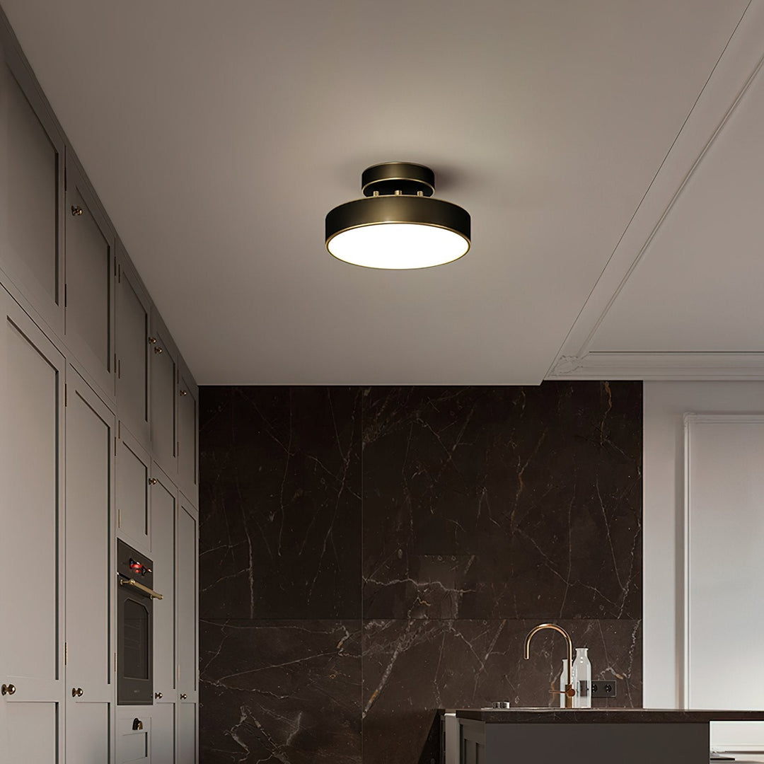 Meridian Rotatable LED Taklampa