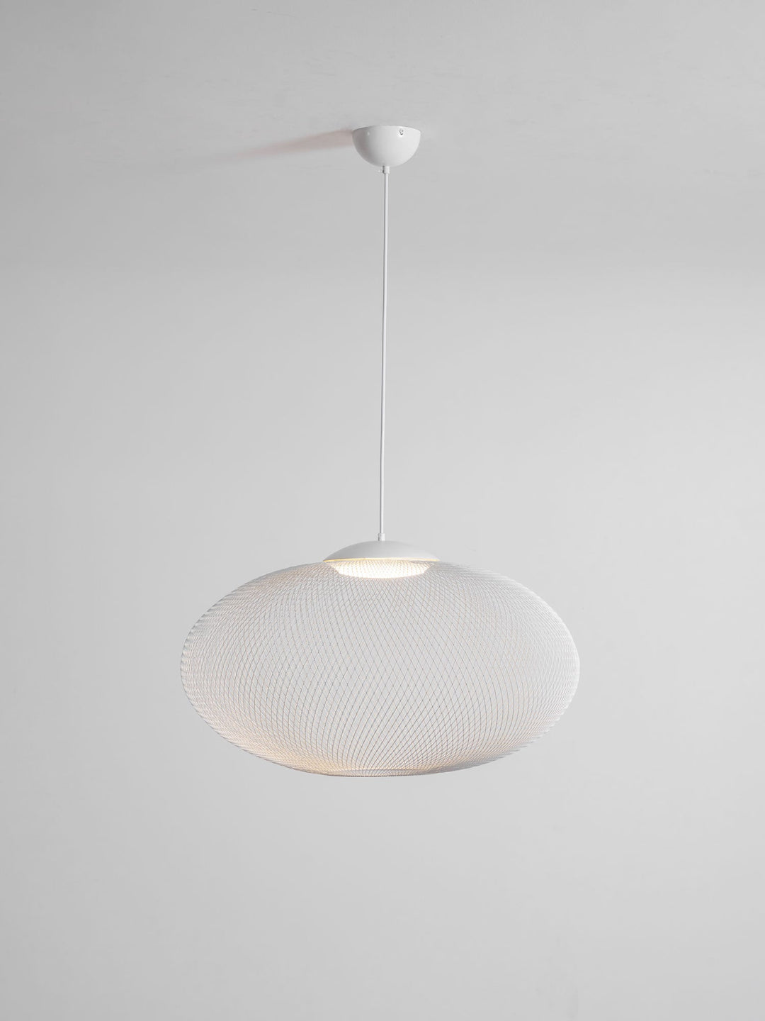 Metallic Meshwork Pendant Lamp