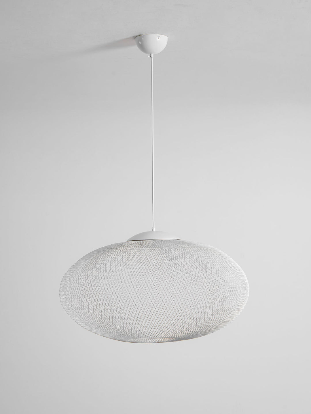 Metallic Meshwork Pendant Lamp