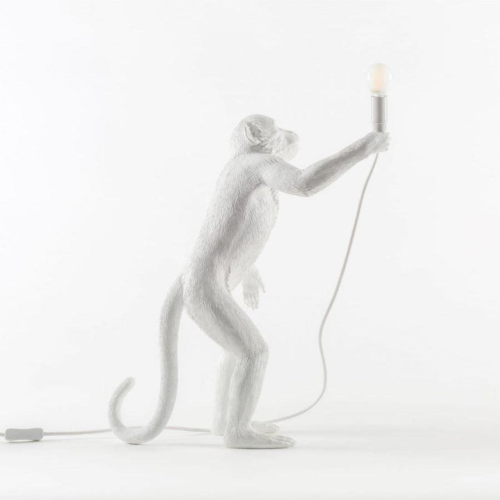 Apa Bordslampa