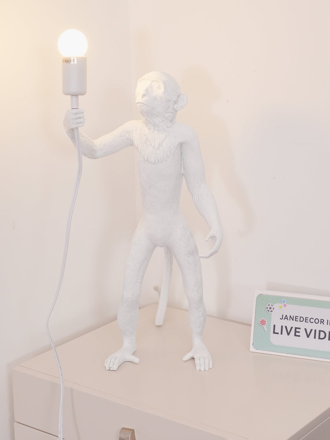 Apa Bordslampa