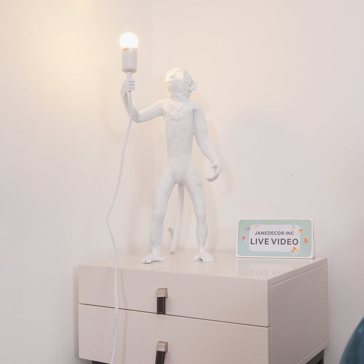 Apa Bordslampa