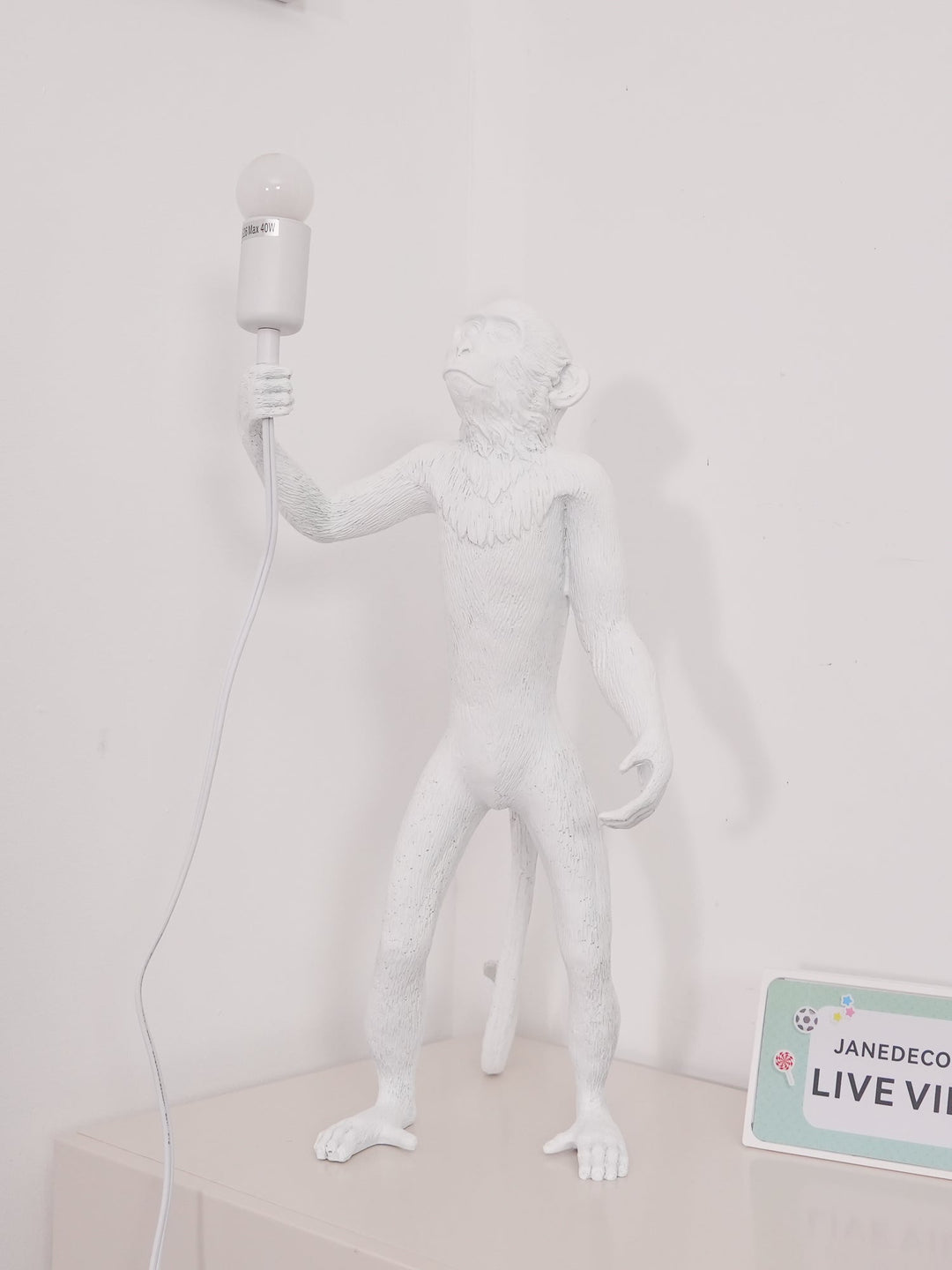 Apa Bordslampa