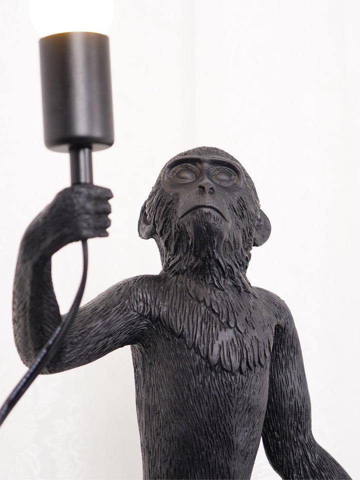 Apa Bordslampa