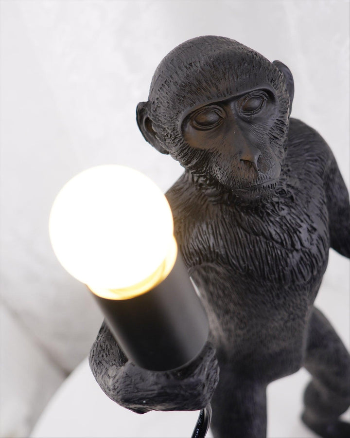 Apa Bordslampa