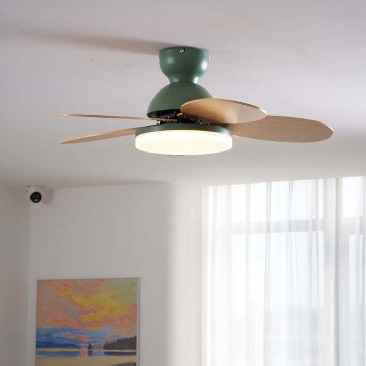 Petalo Takfläkt Lampa