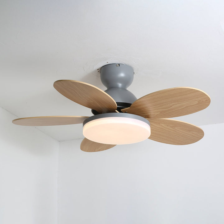 Petalo Takfläkt Lampa