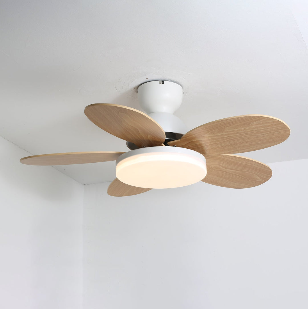 Petalo Takfläkt Lampa