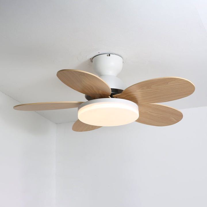 Petalo Takfläkt Lampa