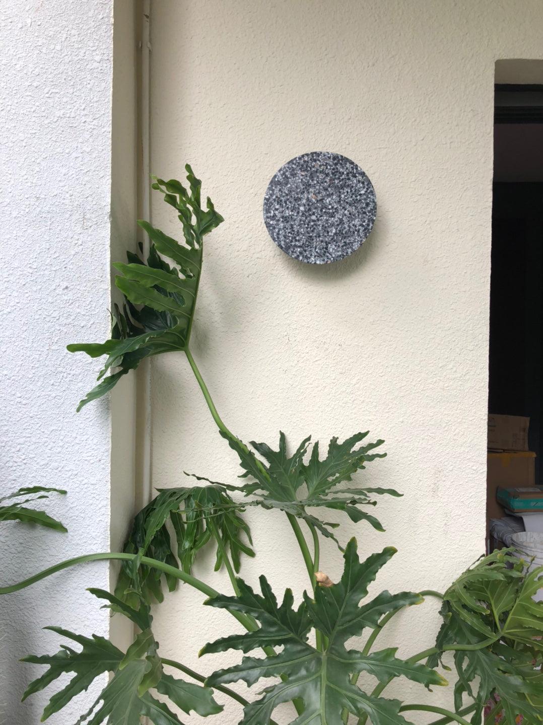 Pin Vägglampa