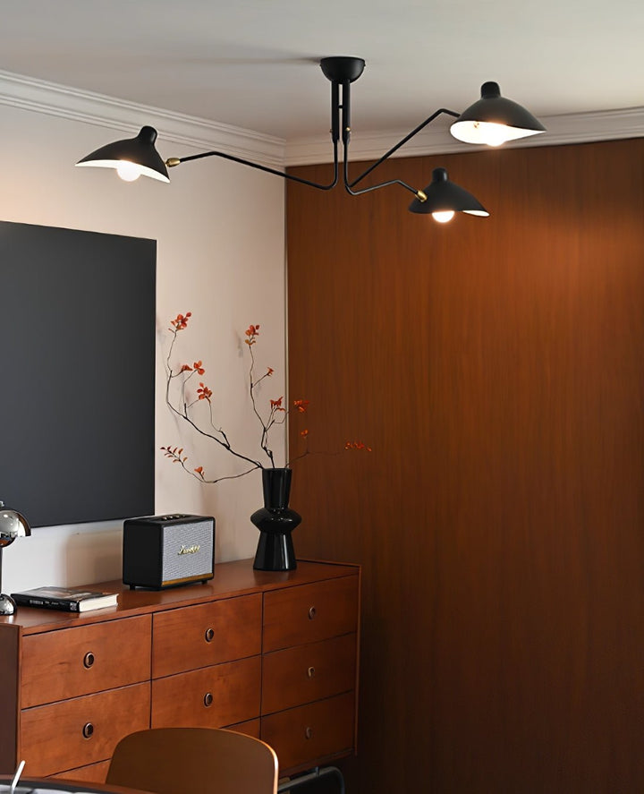 Multi-Arm Spider Ceiling Light A