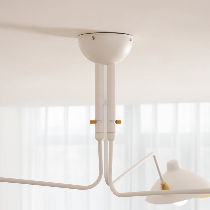 Multi-Arm Spider Ceiling Light A