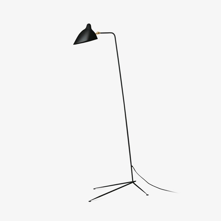 Arm Spider Floor Lamp
