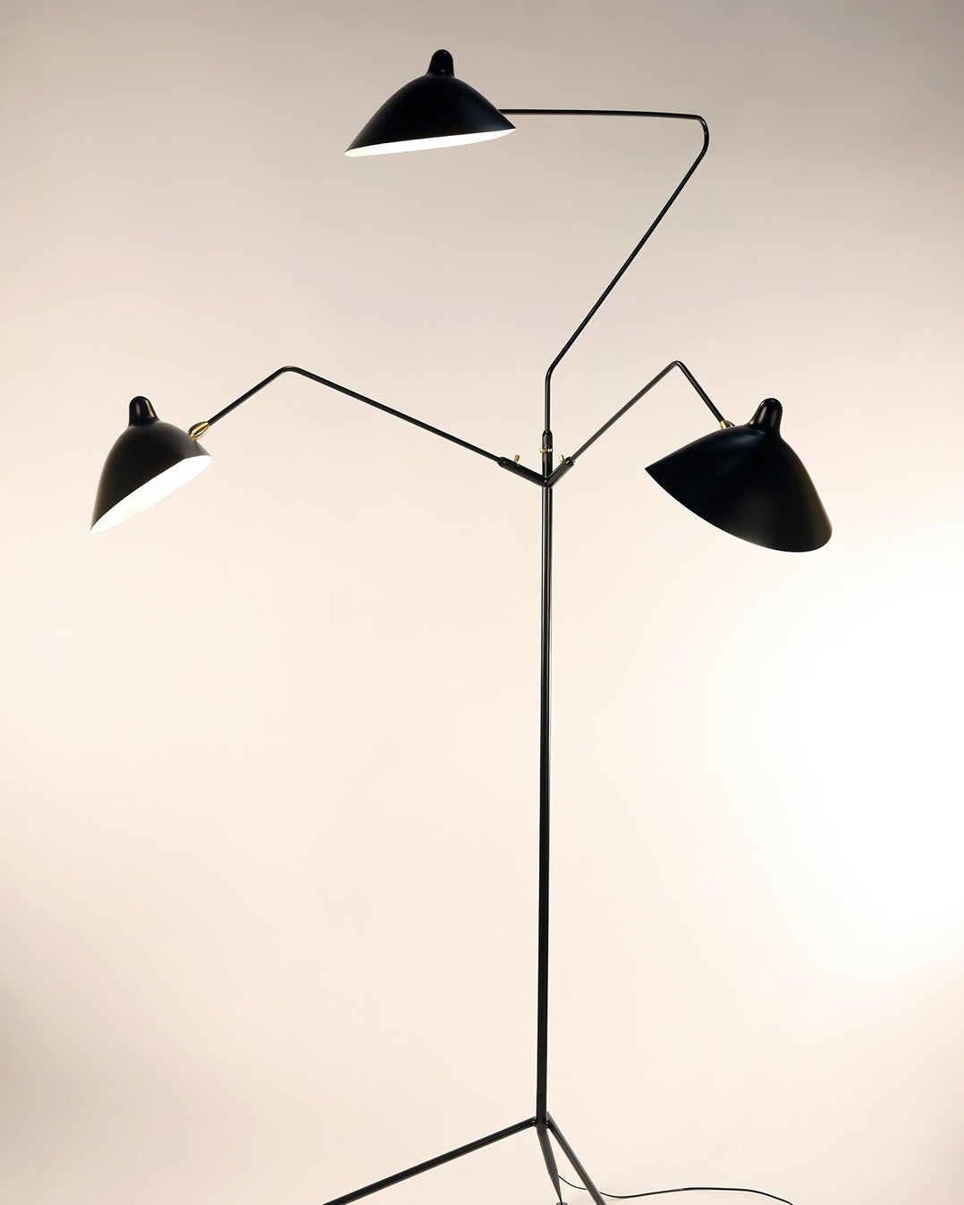 Arm Spider Floor Lamp