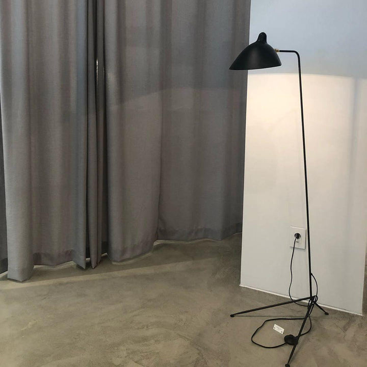 Arm Spider Floor Lamp