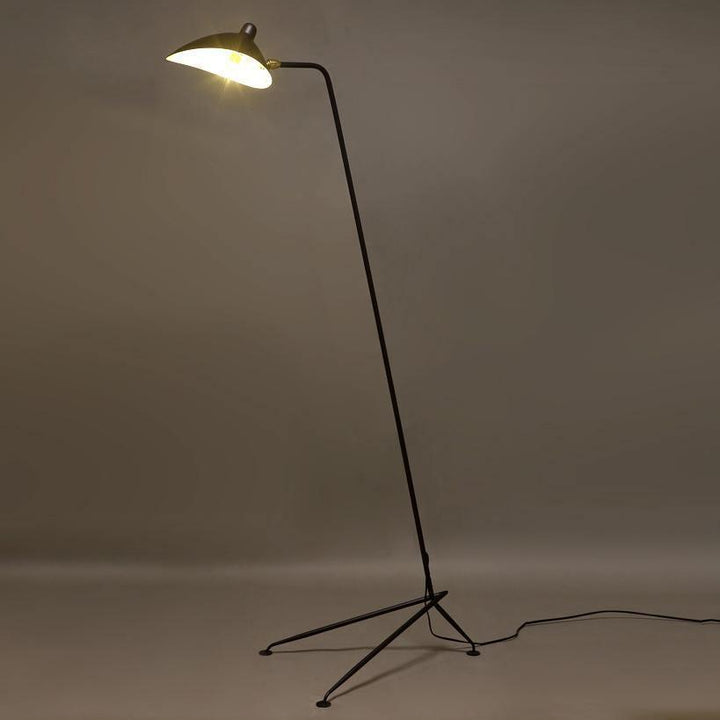 Arm Spider Floor Lamp