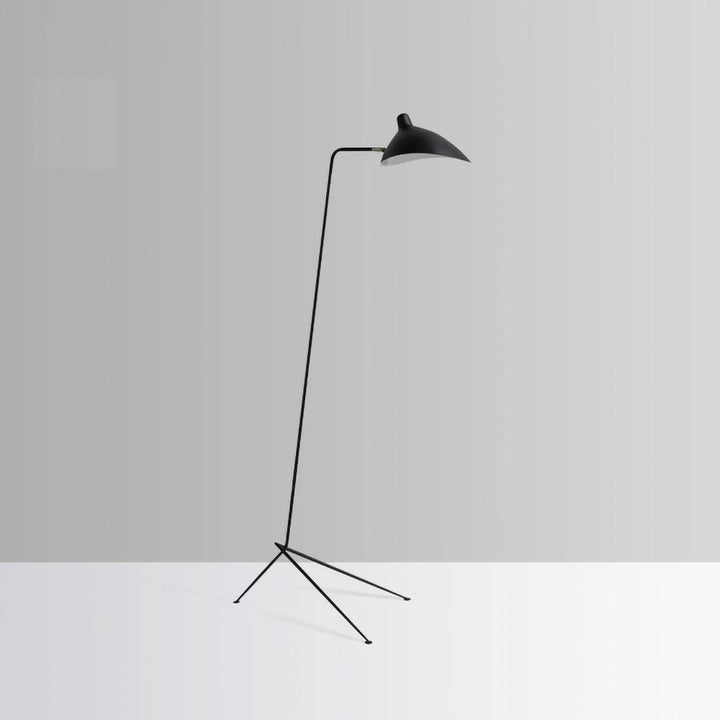 Arm Spider Floor Lamp