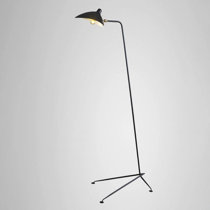 Arm Spider Floor Lamp