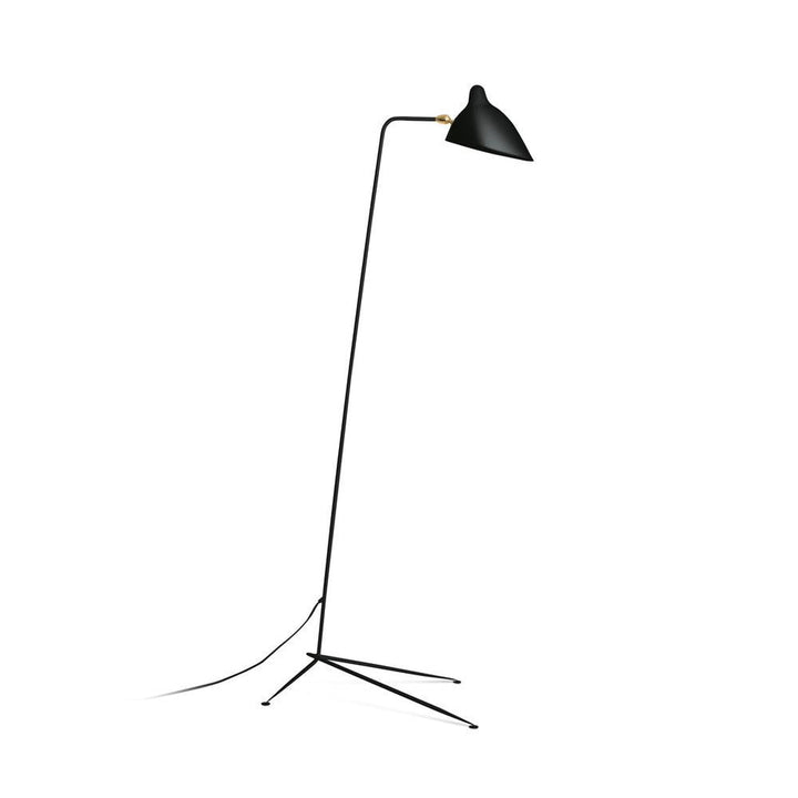 Arm Spider Floor Lamp