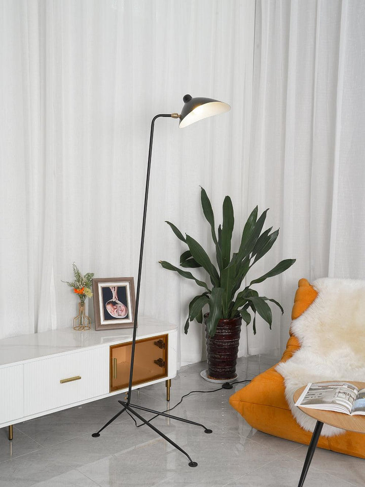 Arm Spider Floor Lamp