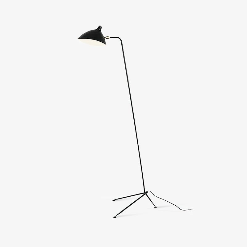 Arm Spider Floor Lamp