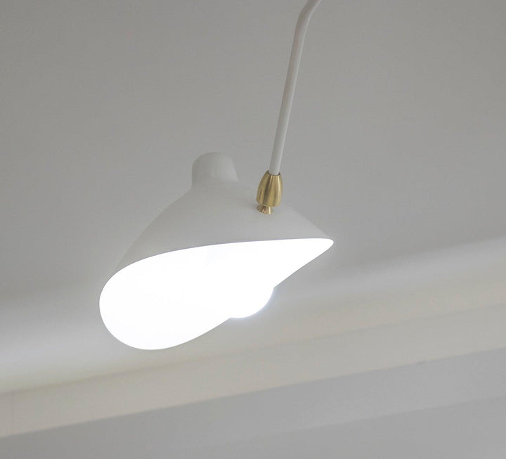 Multi-Arm Spider Ceiling Lamp B