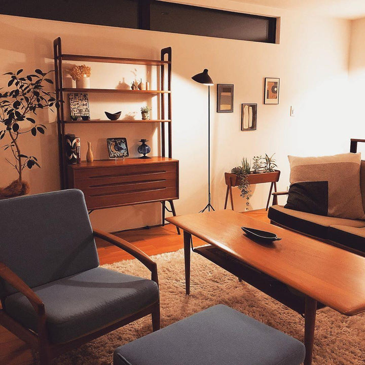 Arm Spider Floor Lamp