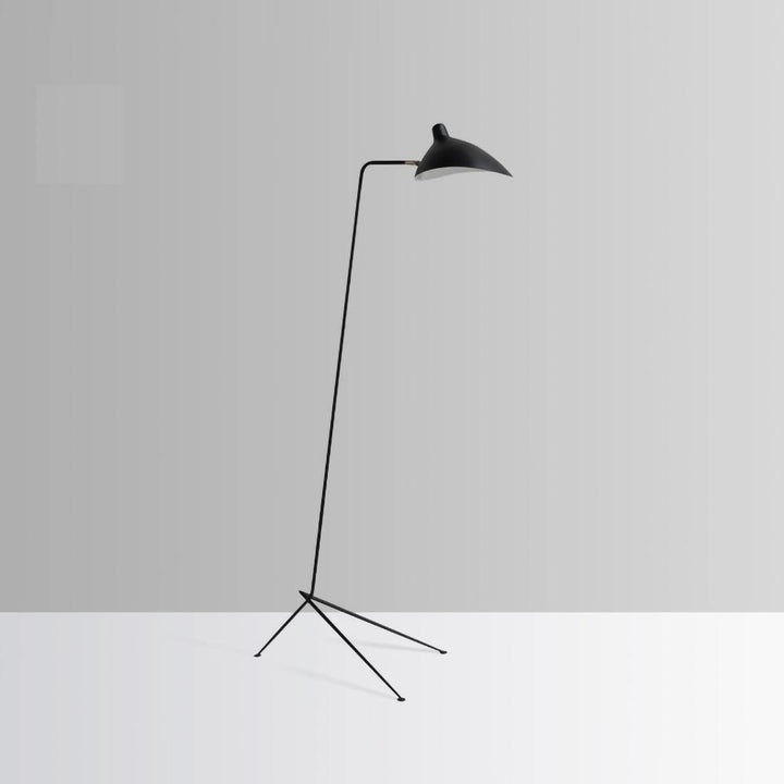 Arm Spider Floor Lamp