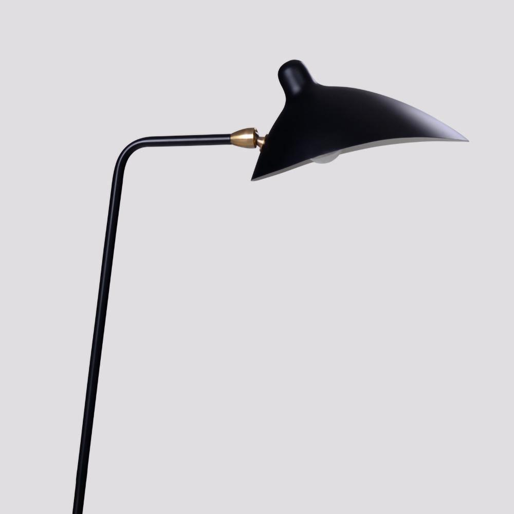 Arm Spider Floor Lamp