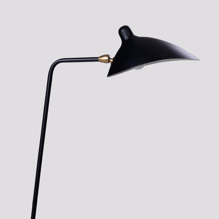 Arm Spider Floor Lamp