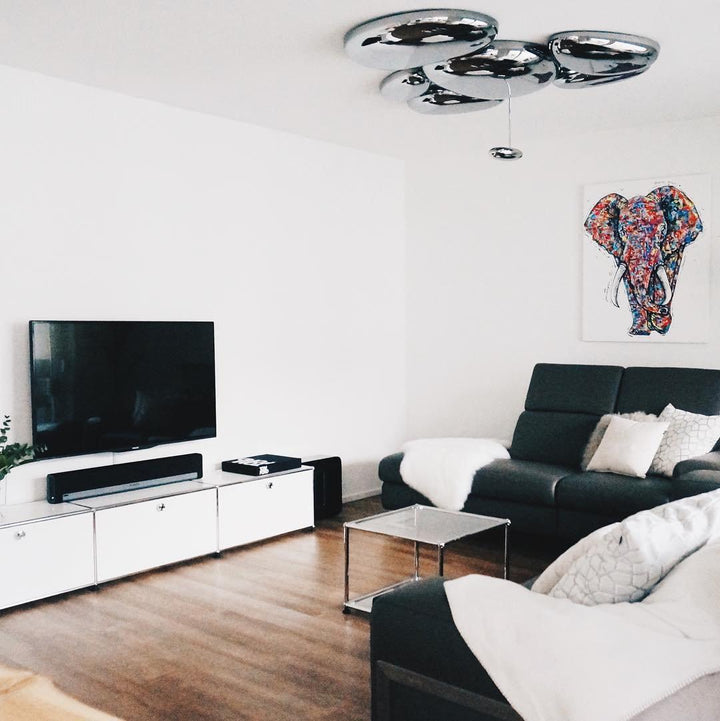 Skydro Taklampa