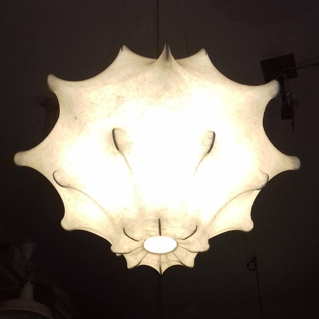 Cocoon Bloom Pendellampa