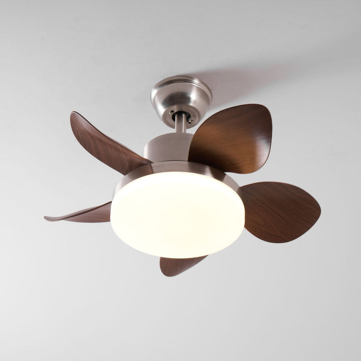 Terra Valnöt Takfläkt Lampa