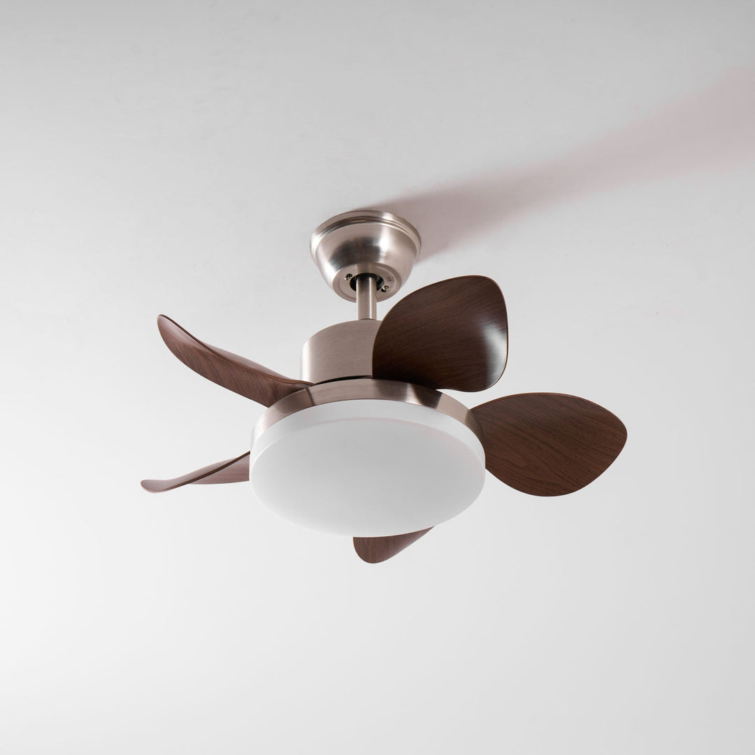 Terra Valnöt Takfläkt Lampa