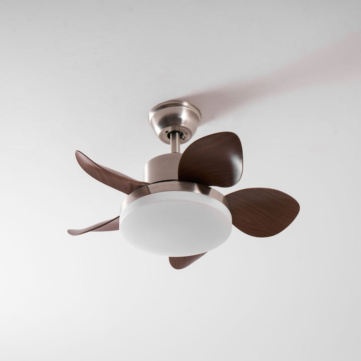 Terra Valnöt Takfläkt Lampa