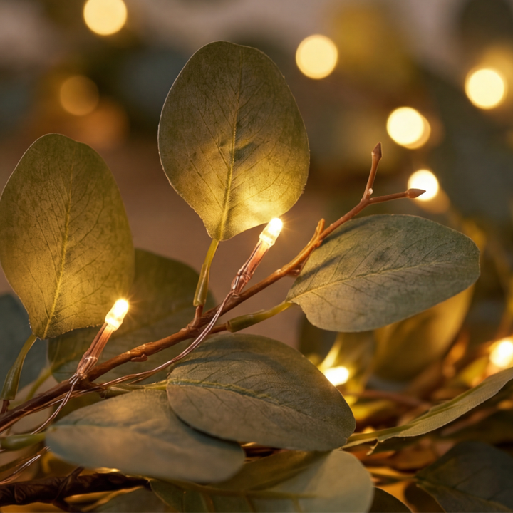 Lumivine – Oświetlona Latorośl Oliwna på Przytulne Wieczory