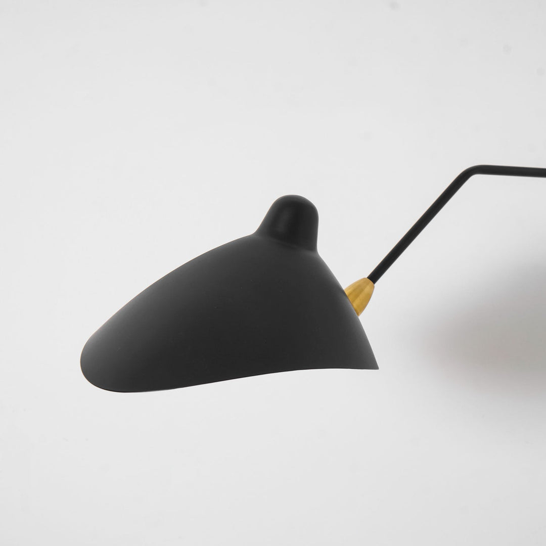 Mångsidig Vägglampa med Arm