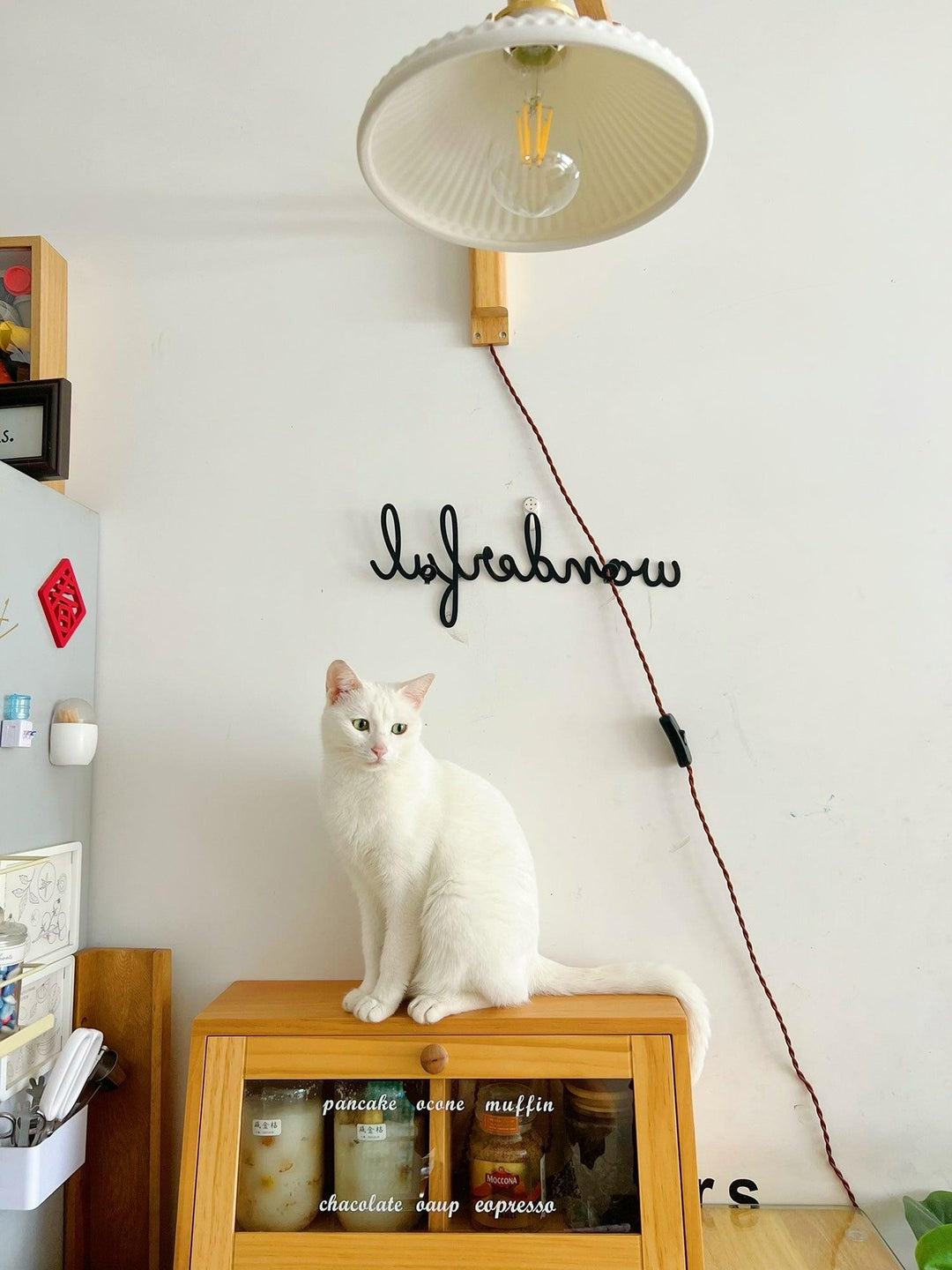 Valnöt Teleskopisk Vägglampa