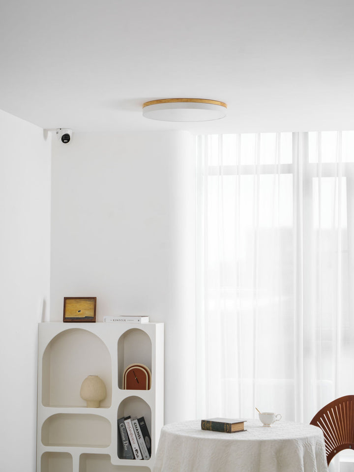 Zara Cirkulär Trä Taklampa