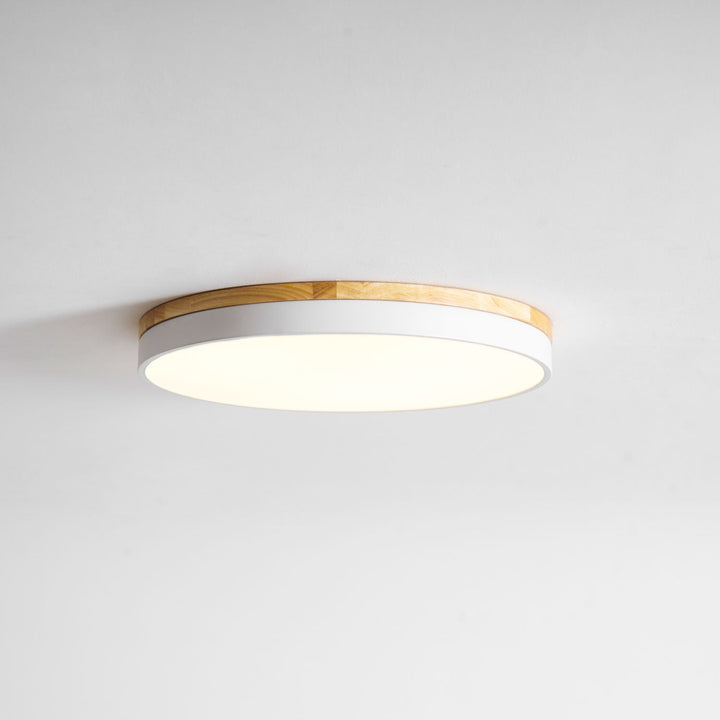 Zara Cirkulär Trä Taklampa