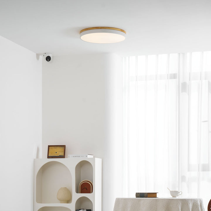 Zara Cirkulär Trä Taklampa