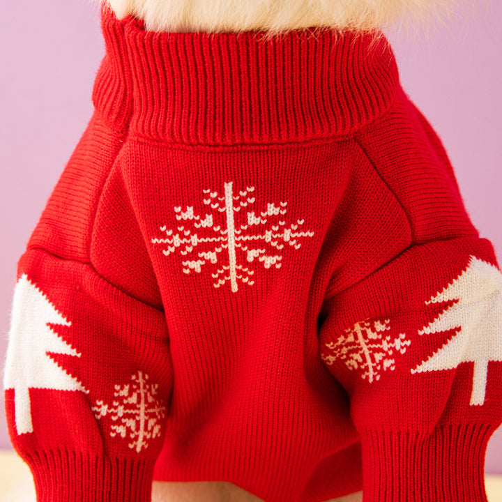 Liten hund i stickad jultröja med ren