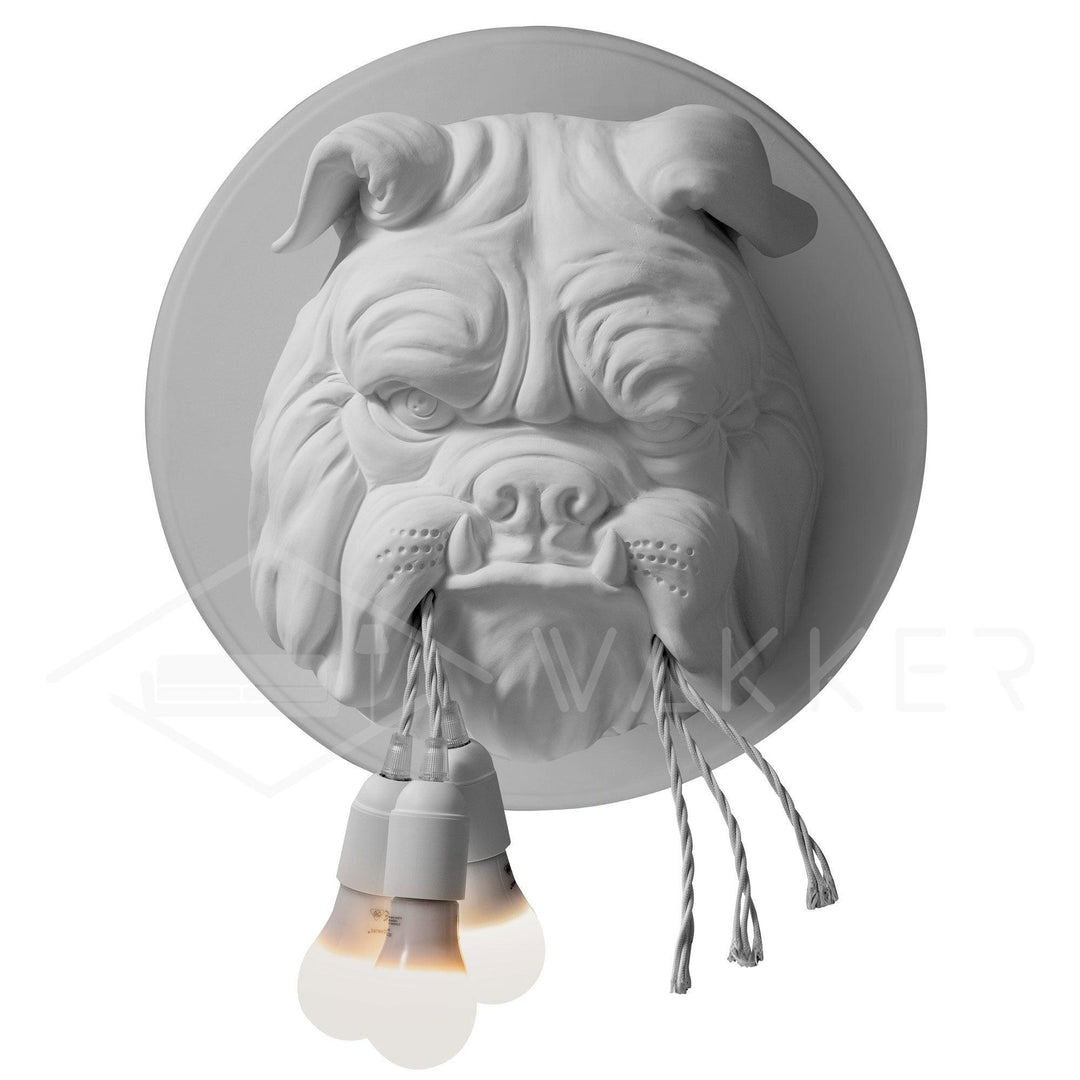 Amsterdam Vägglampa