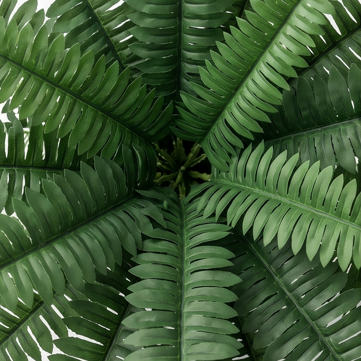 Fernly – Realistyczny Sztuczny Paproć Bostoński