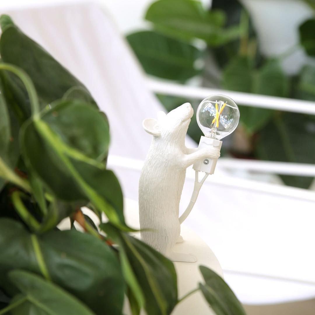Musbordslampa