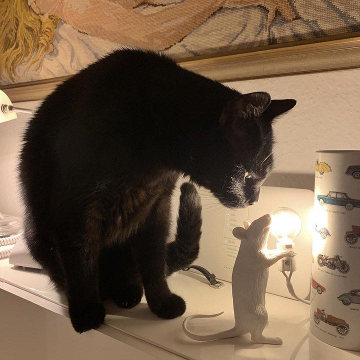 Musbordslampa